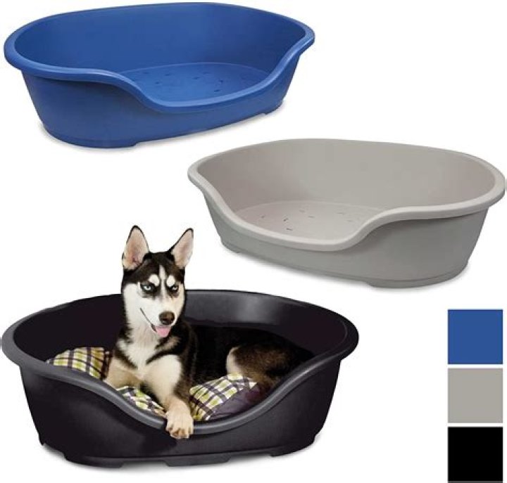 Are plastic beds good for dogs?