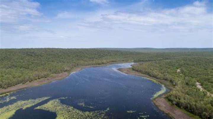 Are there crocs in Manton Dam?