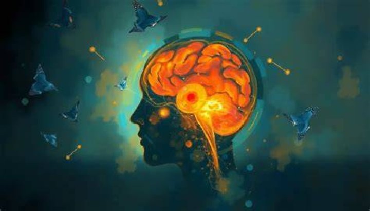 Can brain scans show dissociative identity disorder?