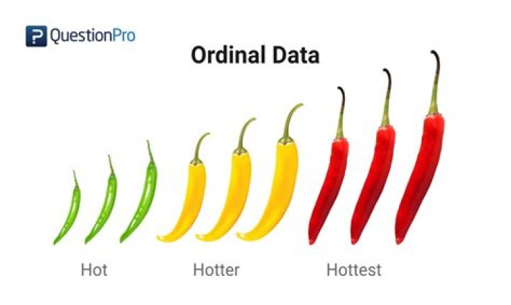 Can I use ICC for ordinal data?