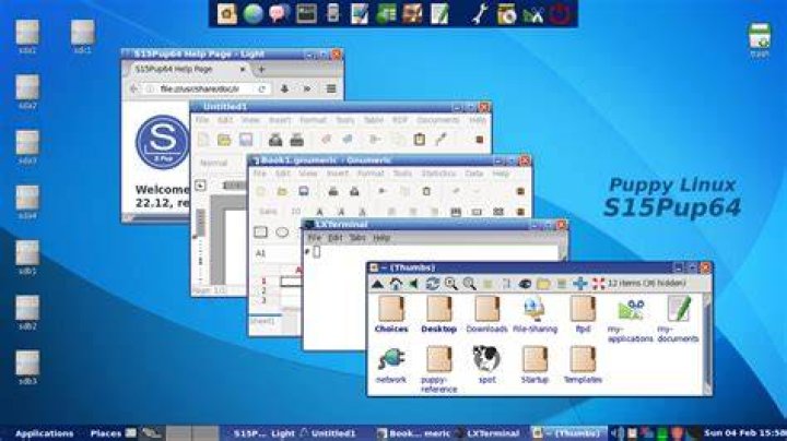 Can Puppy Linux run from USB?