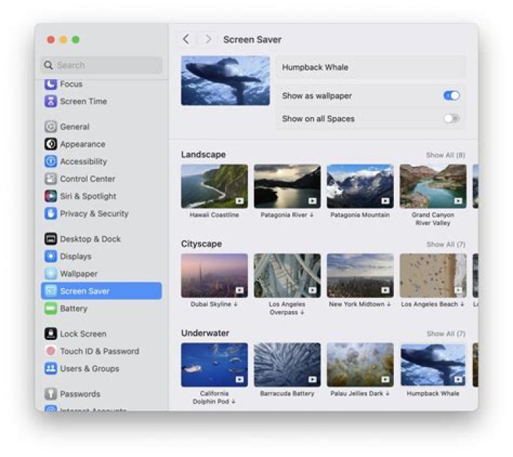 Can you download screen savers?
