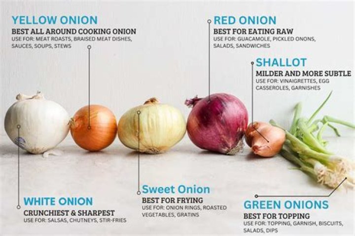 Can you substitute onion flakes for onions?