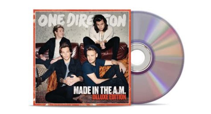 Did One Direction do a made in the AM Tour?