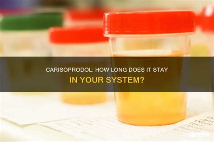 Does carisoprodol make you high?