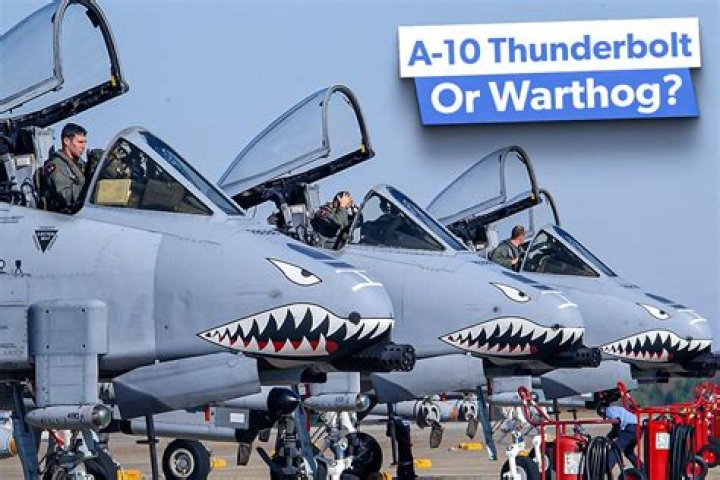 Does the military still use warthogs?