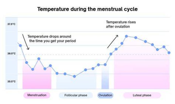 Does your temperature change when you ovulate?