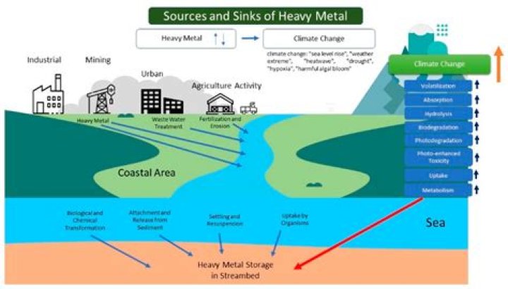 How can heavy metals affect the waterways?