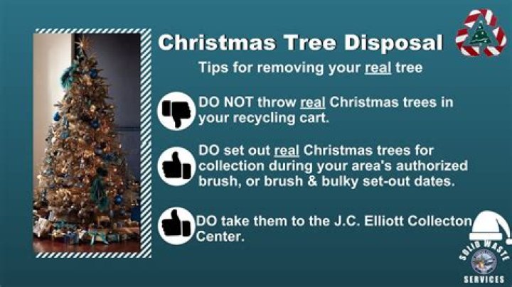 How do I dispose of a Christmas tree?