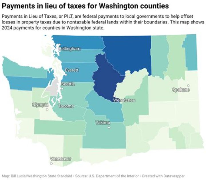 How do I file no taxes in Washington state?
