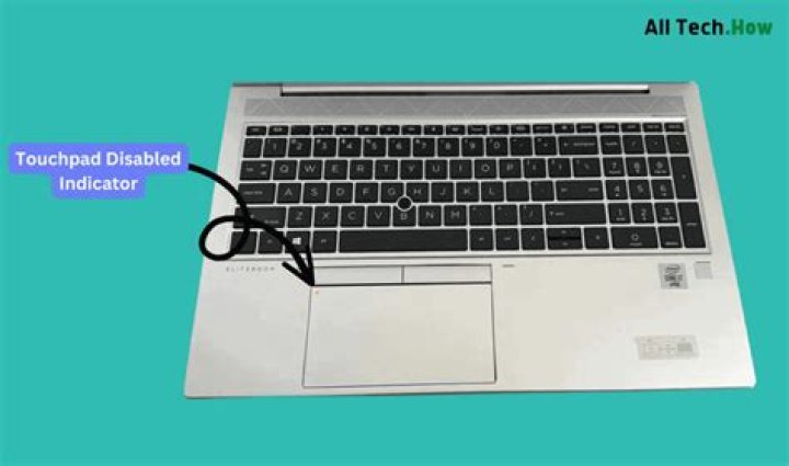 How do I get my touchpad pointer back?