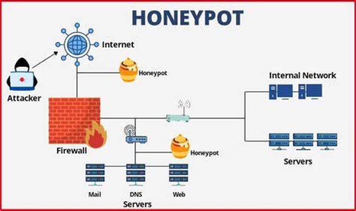 How do you use a honeypot for honey?