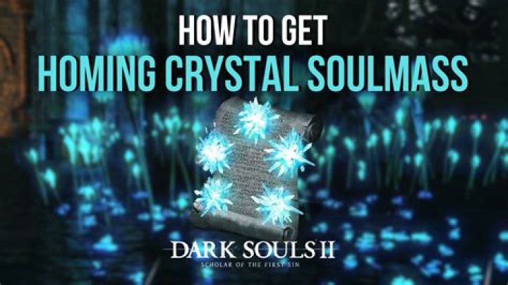 How do you use the homing crystal in Soulmass?
