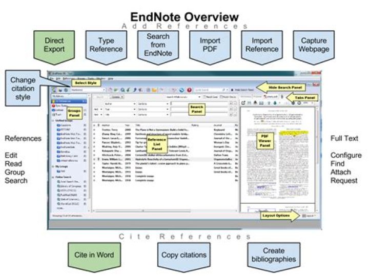 How does EndNote software work?