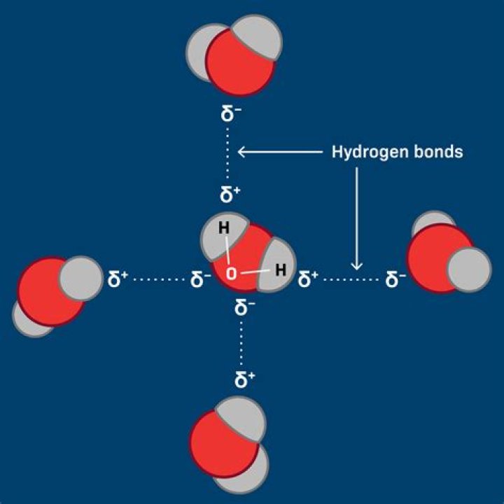 How many atoms are in 12 sugar molecules?