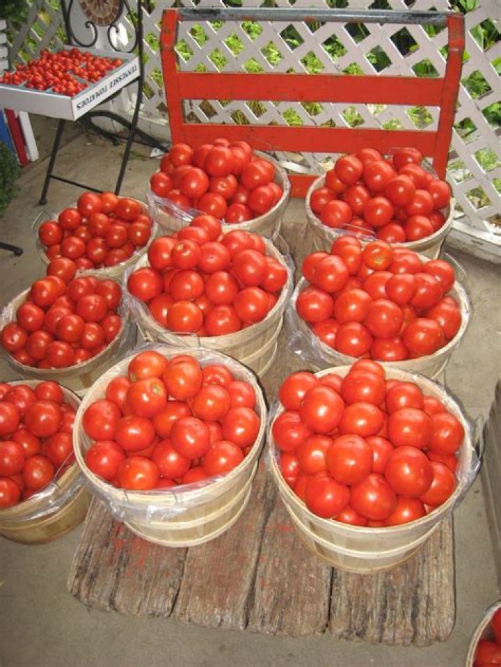 How many Mason jars does it take to make a bushel of tomatoes?