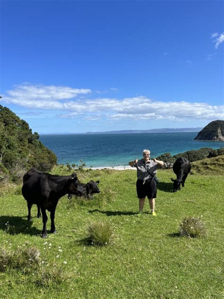 How much are nurses paid in New Zealand?