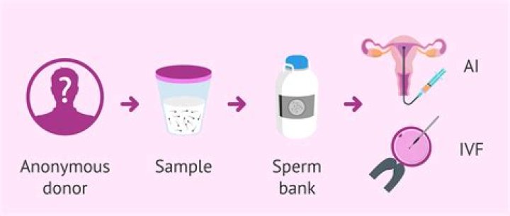 How much do sperm banks pay UK?