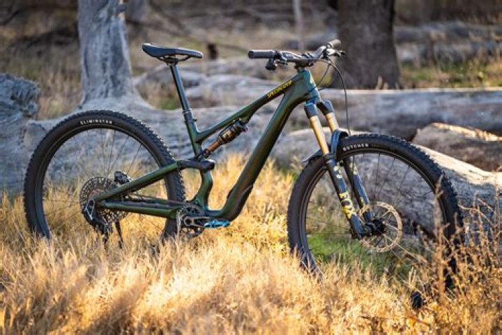 How much does a Stumpjumper bike cost?