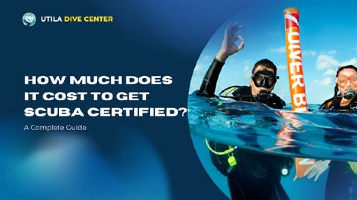 How much does dive training cost?