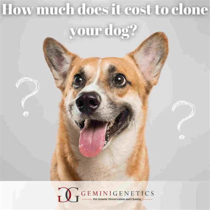 How much does it cost to have DNA test done in Philippines?