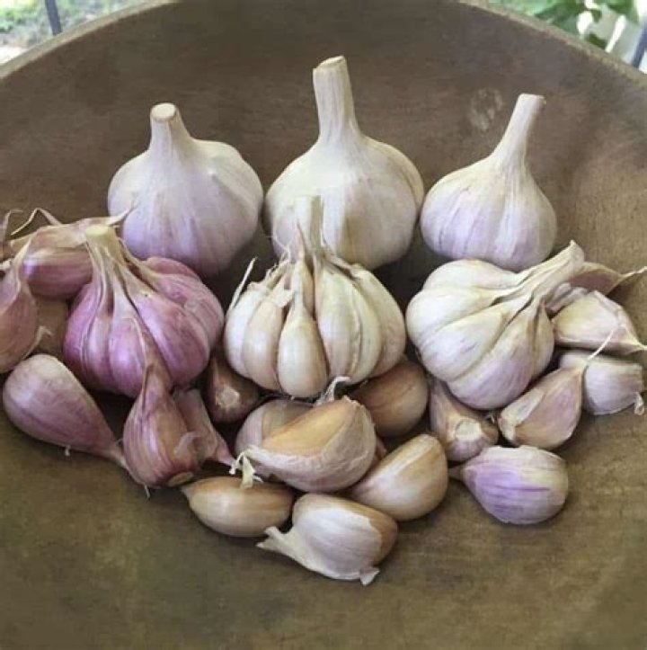 How much is 1kg garlic?