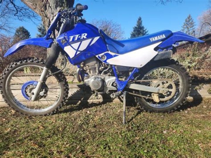 How much is a TTR 225 worth?