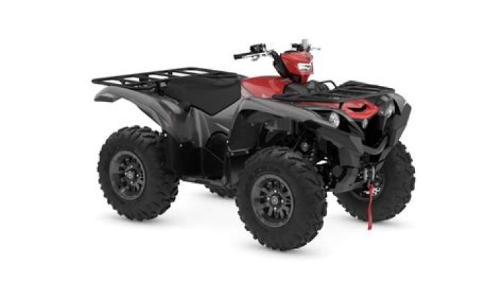 How much is my Grizzly 700 worth?