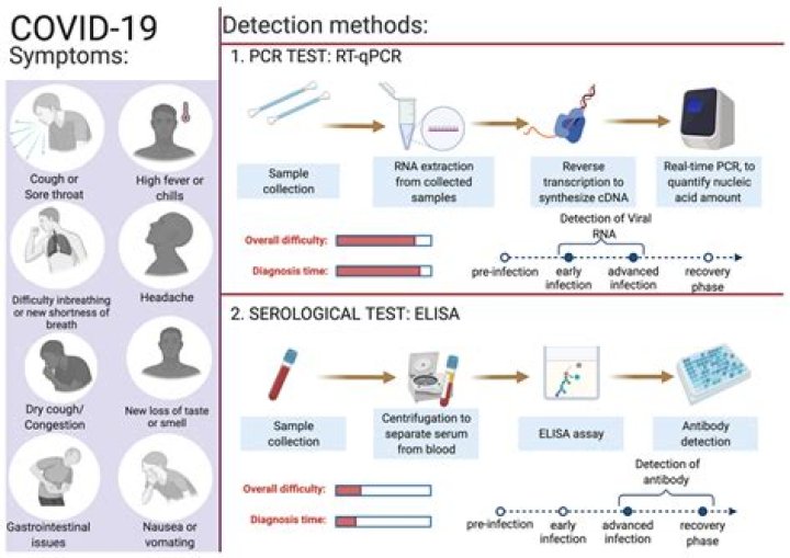 How much is RT PCR test in the Philippines?
