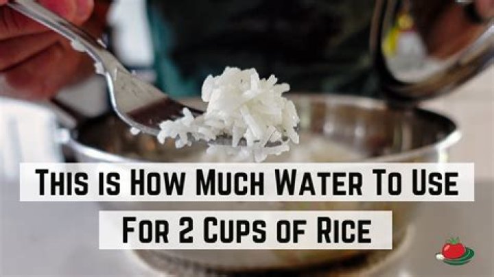 How much rice does 25 lbs make?