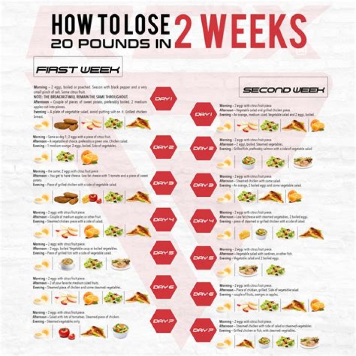 How much weight can you lose in 2 weeks dieting?