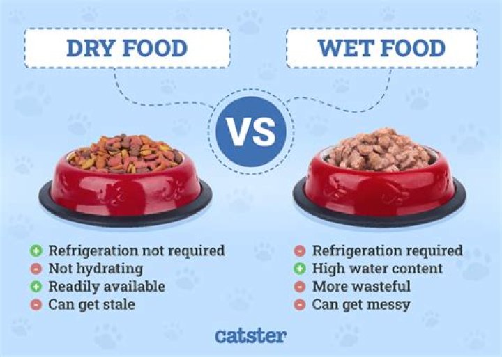 How much wet food equals dry dog food?