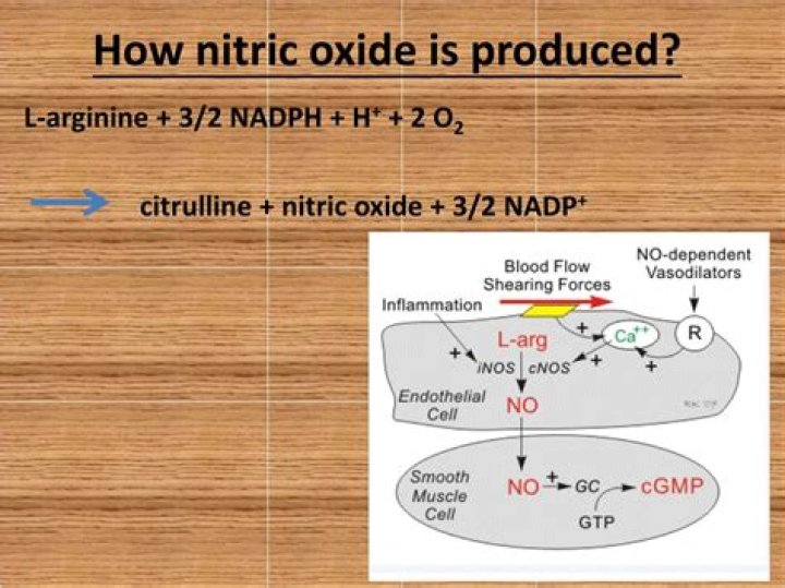 How nitric oxide is produced?