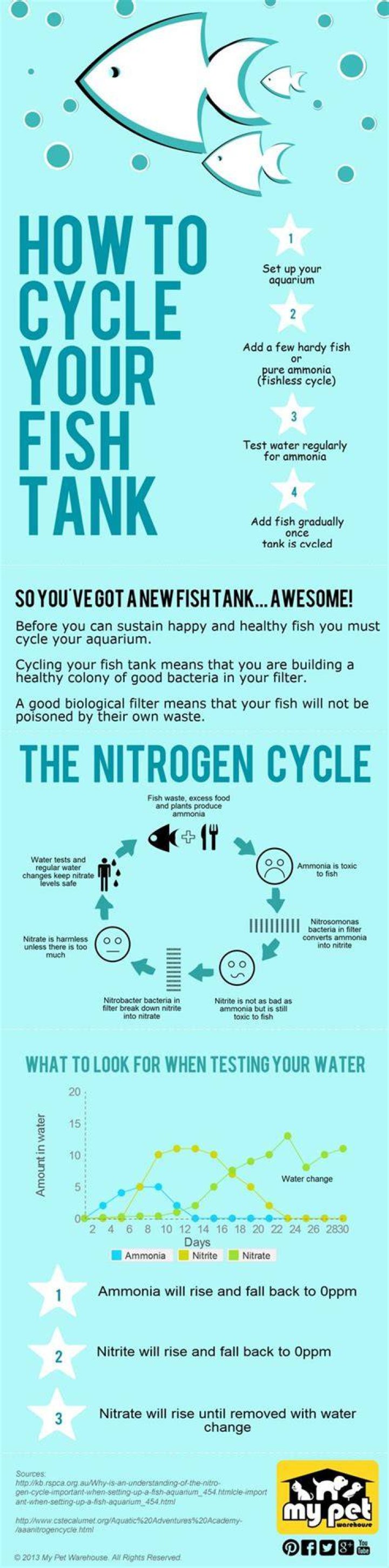 How often do you need to cycle your fish tank?