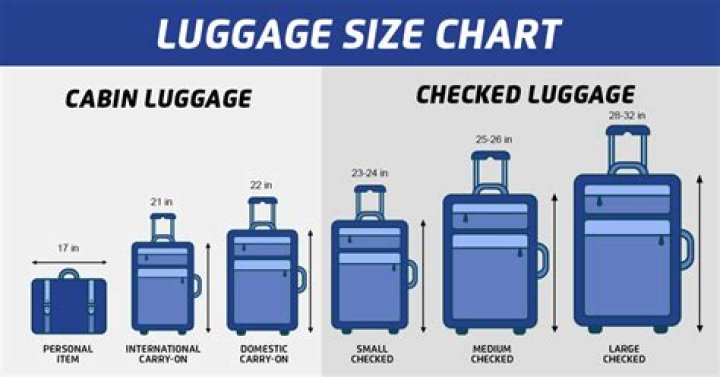 Is 20 inch luggage a cabin size?