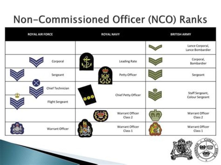 Is a non-commissioned officer enlisted?