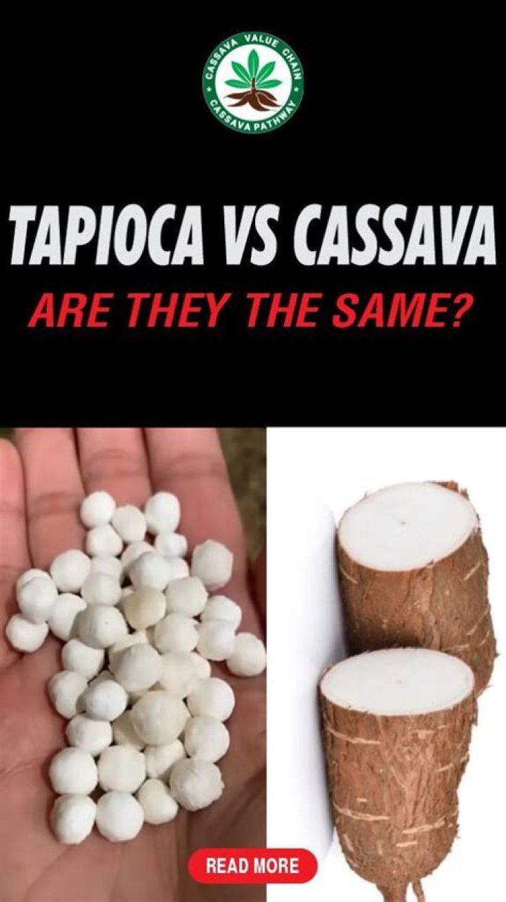 Is cassava and tapioca flour the same?