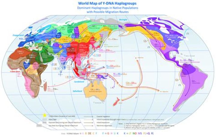 Is Caucasian A haplogroup?