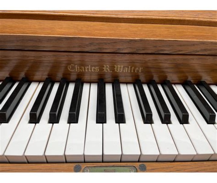 Is Charles Walter a good piano?