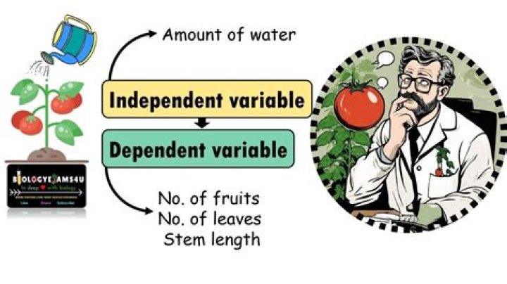 Is chemistry dependent on physics?