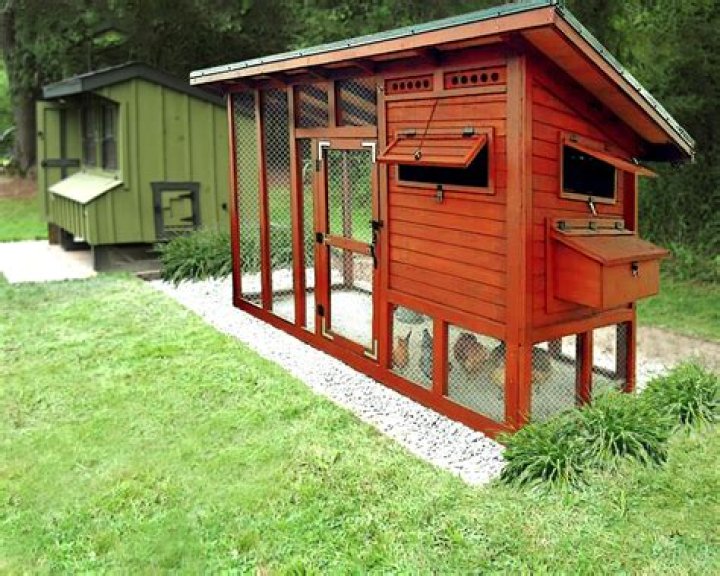 Is it legal to have chickens in your backyard in California?