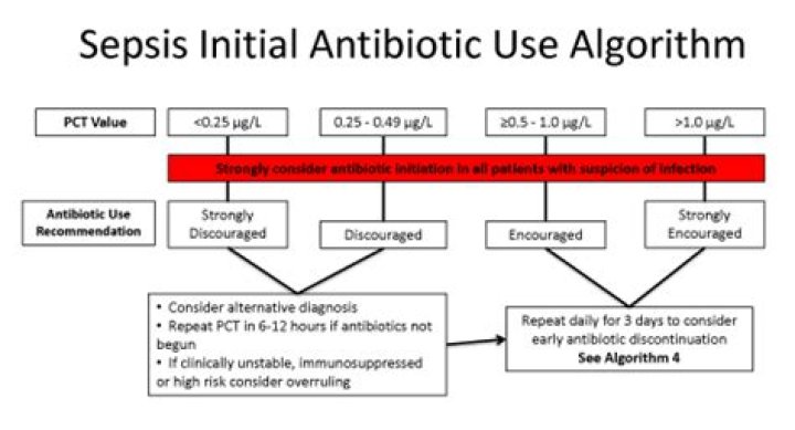 Is procalcitonin elevated in sepsis?