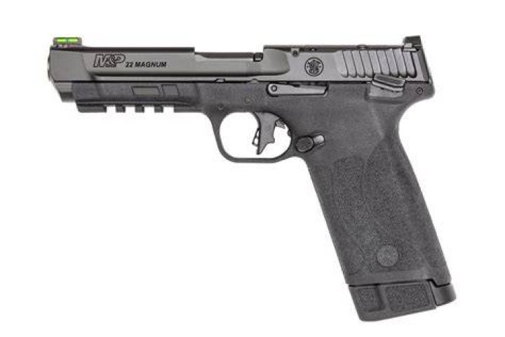 What ammo does a Smith and Wesson M&P 15-22?