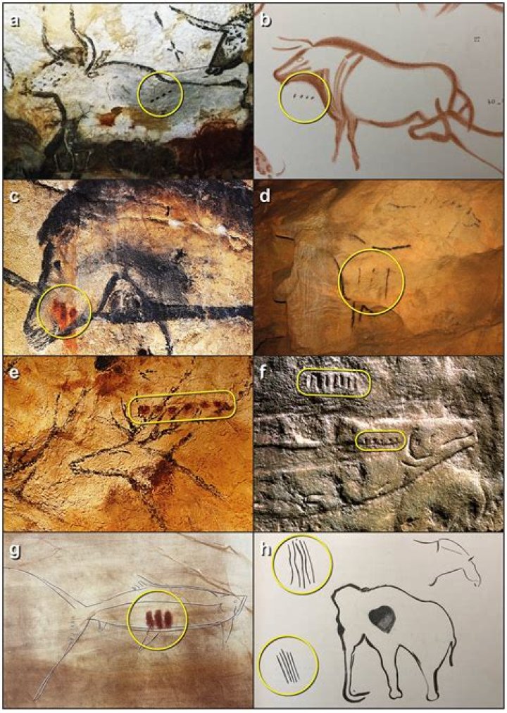 What animals were drawn in cave art?