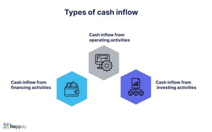 What are 3 examples of cash inflows?