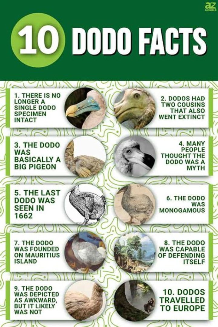 What are 3 interesting facts of coyotes?