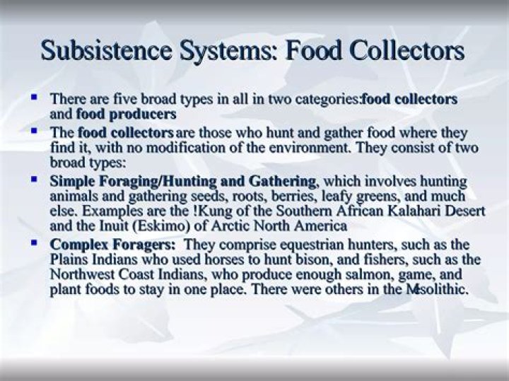 What are examples of broad subsistence categories?