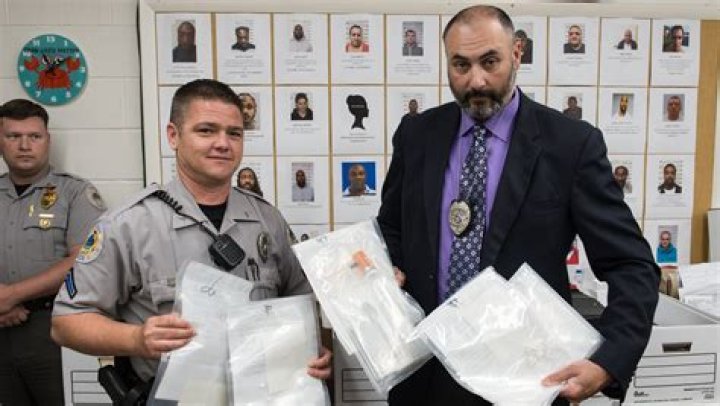 What are narcotics officers called?