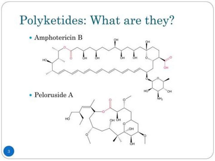 What are polyketide antibiotics?