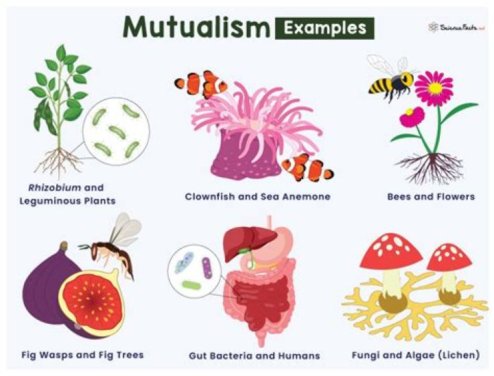 What are some examples of sameness?